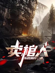 卖棺材小说